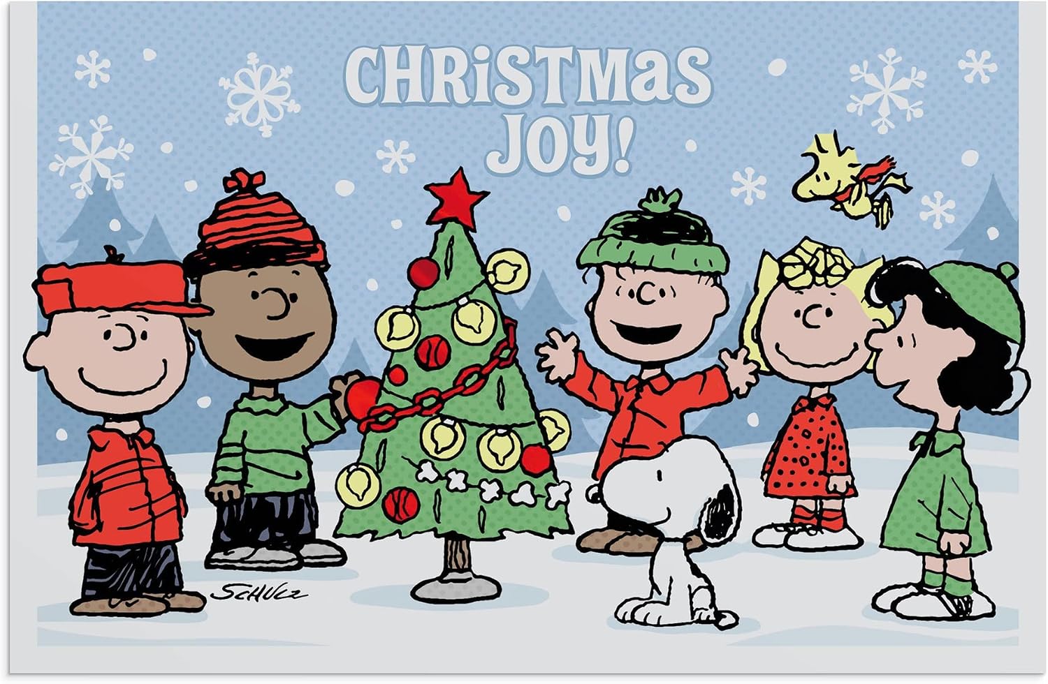 Dayspring Peanuts Christmas Joy! - The Wonder of Christmas - 50 Bulk Christmas Boxed Cards & Envelopes, NLT (J9694)