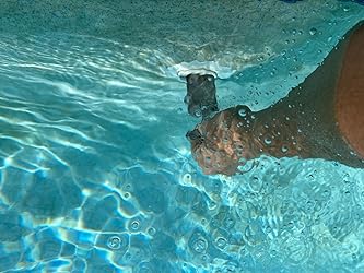 Amazon.com: Pool Plug Removal Tool - Spa & Pool Return Jet Eyeball Seat ...