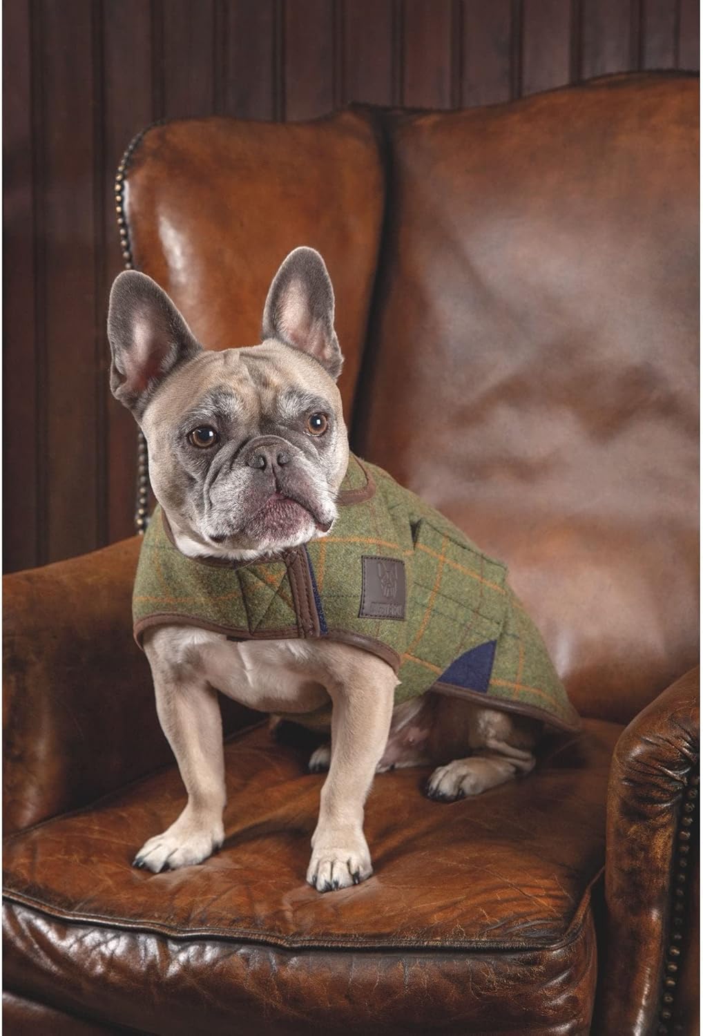 Shires Digby & Fox Tweed Dog Coat (Red/Yellow/Blue Check, Small)
