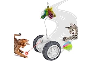 3 in 1 Cat Toy: Interactive Playtime for Your Feline Friend