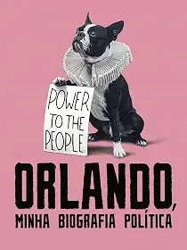 Orlando, Minha Biografia Política
