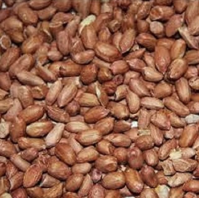 Peanuts Whole 200g Premium Safe Wild Bird Food Nuts Afflotoxin Free s/l* New *