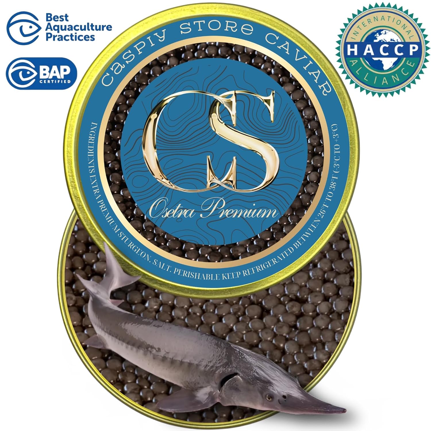 CASPIY Premium Caspian Osetra Sturgeon Caviar (8.8 oz / 250 g) – Traditionally Harvested Malossol Ossetra Black Roe With 2 Mother of Pearl Spoon & Caviar Opener & Brew Pop – Single Tin