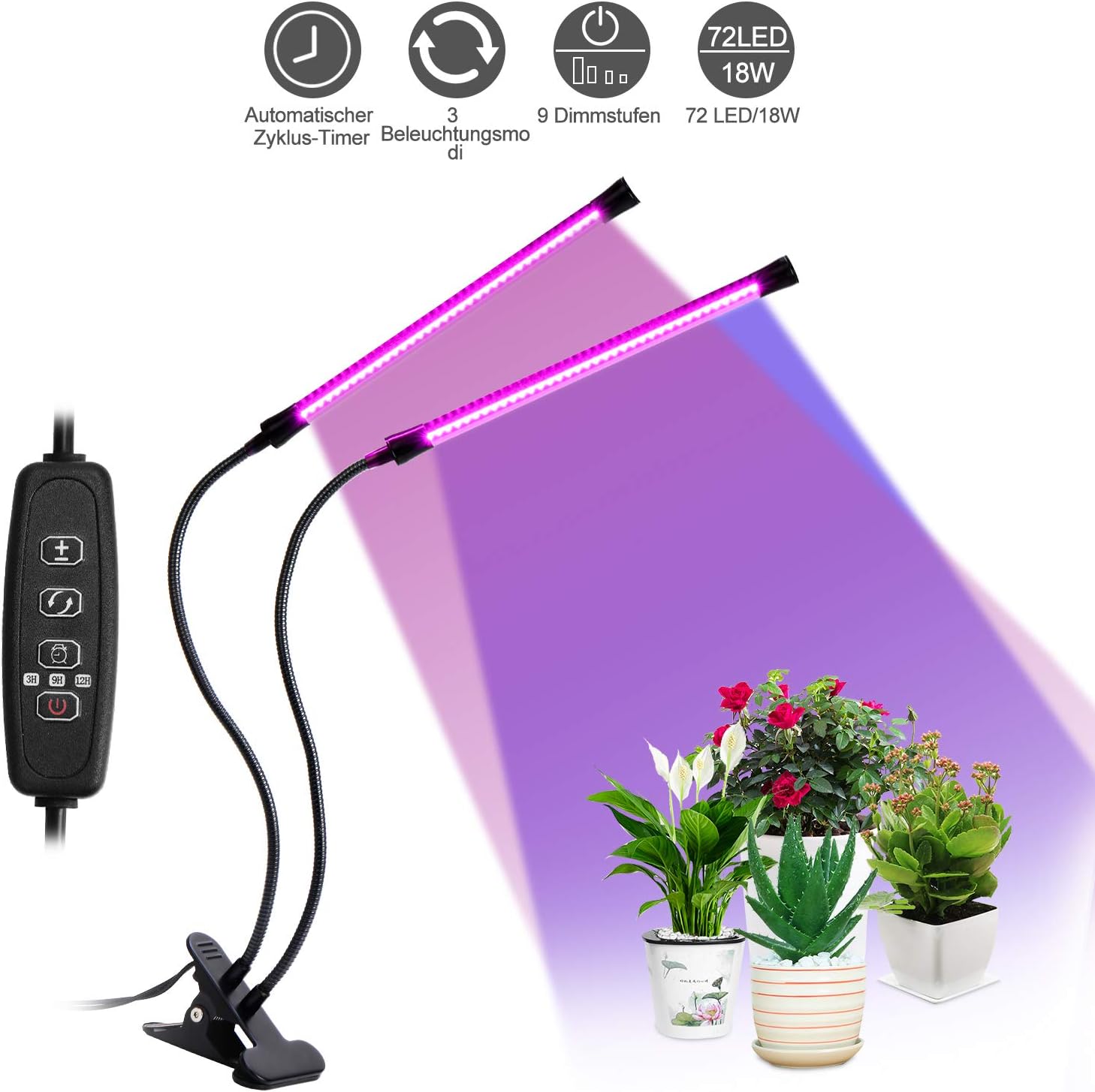 spettro oli di canapa