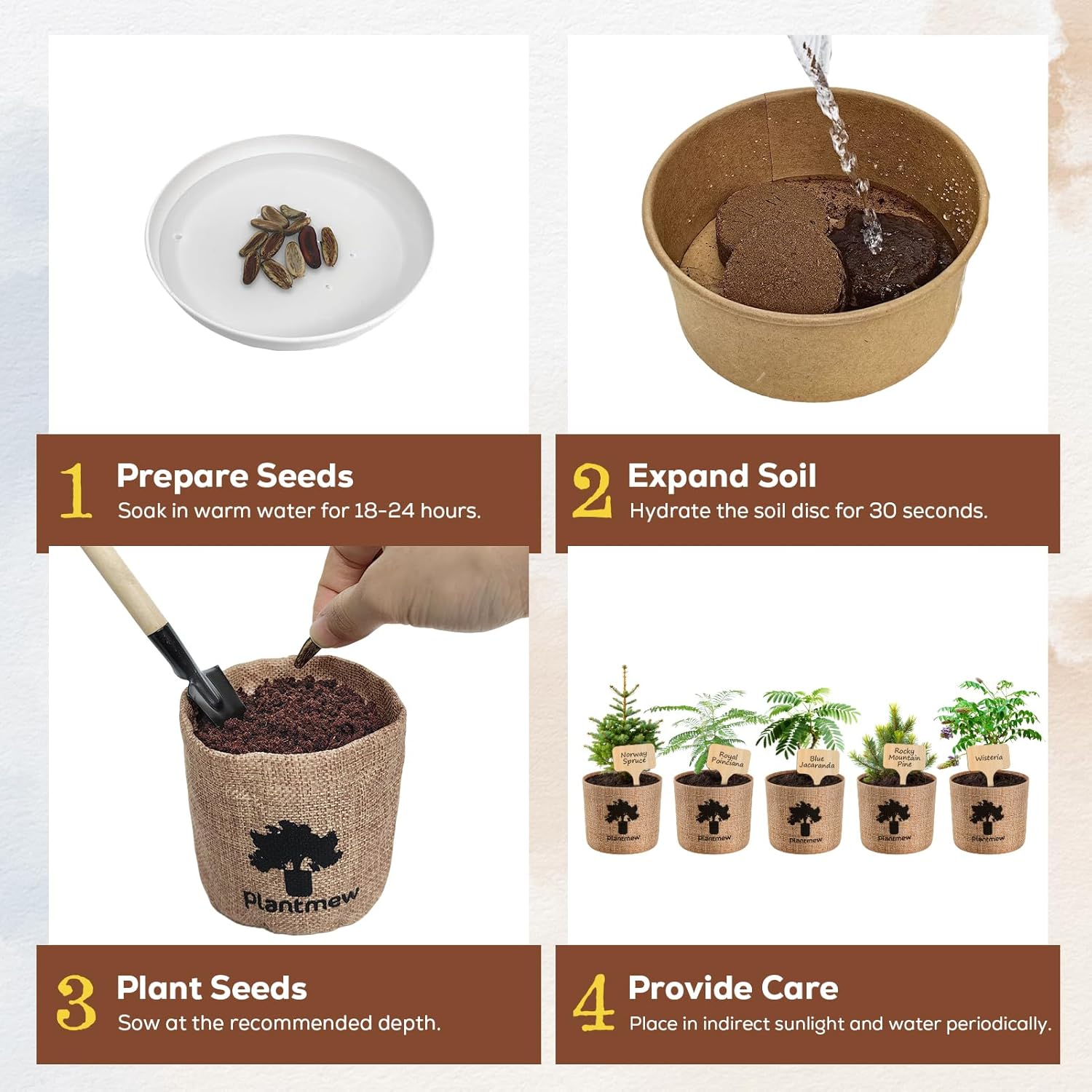 Christmas Gifts & Crafts for Adults - Bonsai Tree Starter Kit with 5 Unique Japanese Trees | Complete DIY Gardening Kit for Birthday | Gifts for Women, Men, Mom, Dad, Plant Lovers