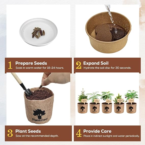 Bonsai Starter Kit for Adults Complete Indoor Tree Growing Set with Jacaranda Seeds, Tools & Planter | DIY Gardening Hobby Kits for Plant Lovers, Unique Easter Gifts for Men & Women