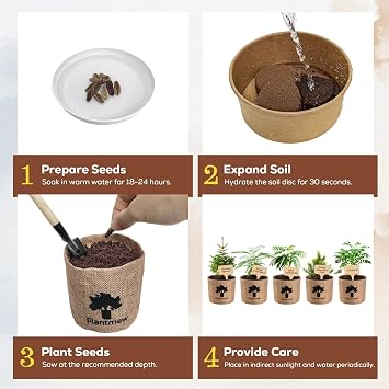 Bonsai Starter Kit for Adults Complete Indoor Tree Growing Set with Jacaranda Seeds, Tools & Planter | DIY Gardening Hobby Kits for Plant Lovers, Unique Easter Gifts for Men & Women