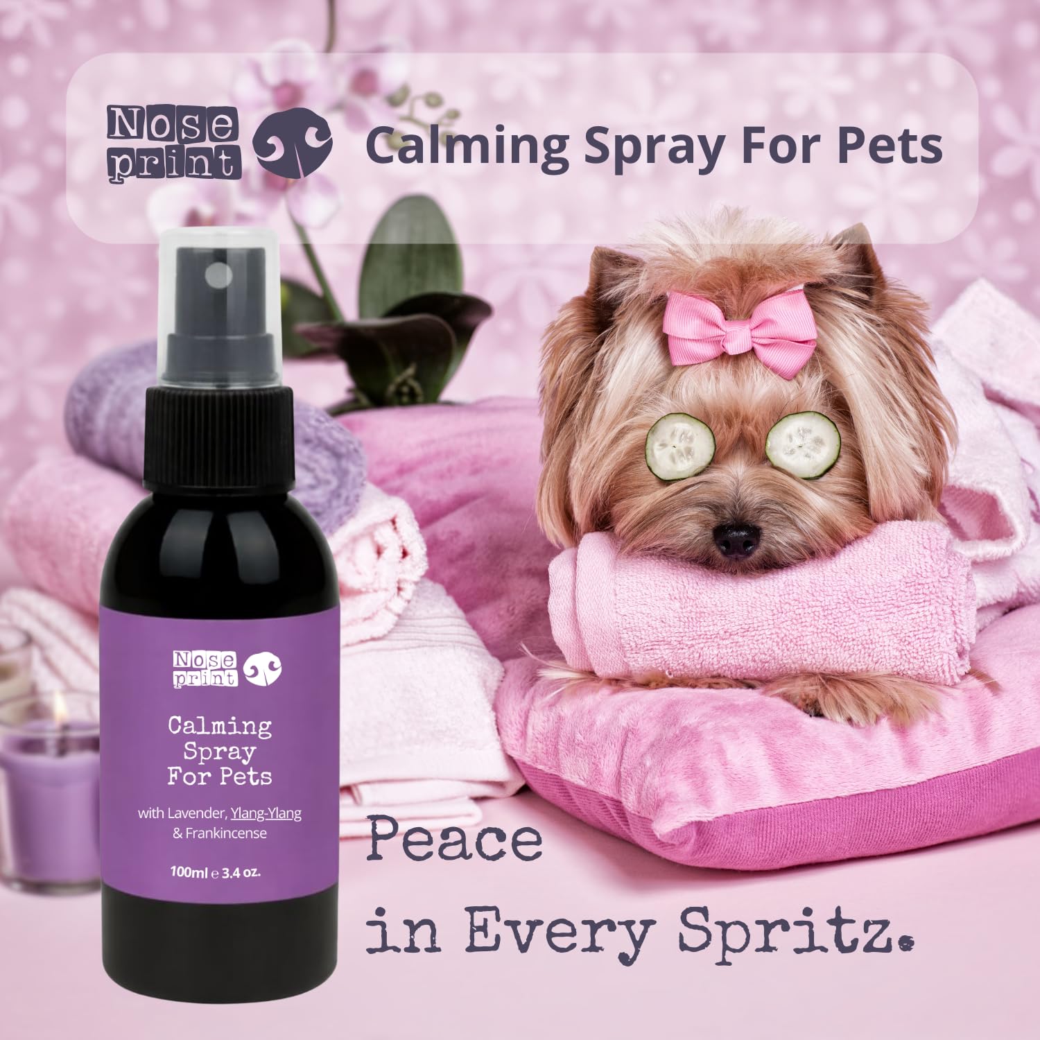 Spray apaisant naturel pour chiens et chats, lavande ylang-ylang, encens, spray d'intérieur sans danger pour les animaux de compagnie, 100 ml