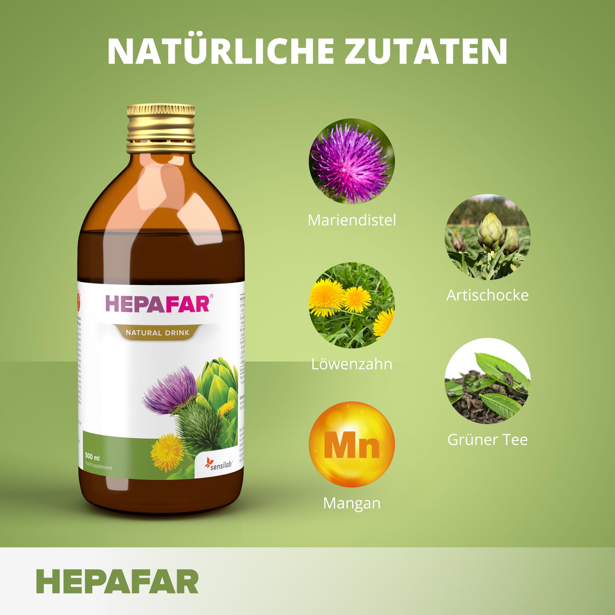 Sensilab Hepafar Drink – Leber – 2x500 ml für 40 Tage – Mariendistel Tee, Lebertee – Mariendistel, Grüner Tee, Mangan, Löwenzahn & Artischocke – 80% Silymarin