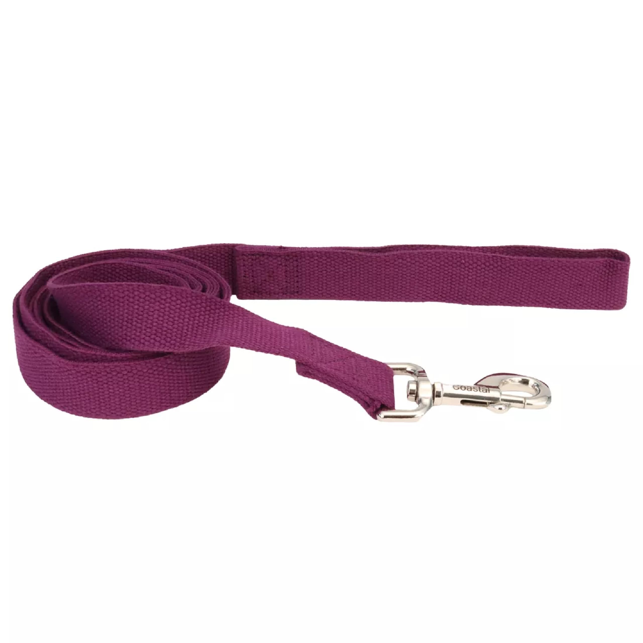 Coastal - New Earth Soy - Dog Leash, Eggplant, 5/8" x 06'