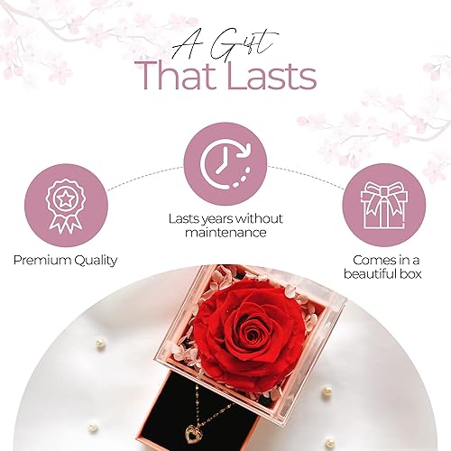 Miniatura 4 de AROMEO Caja de rosas preservadas con collar, regalos para el día de San Valentín, regalos para mujeres, mamá, novia, mejor esposa, Pascua,