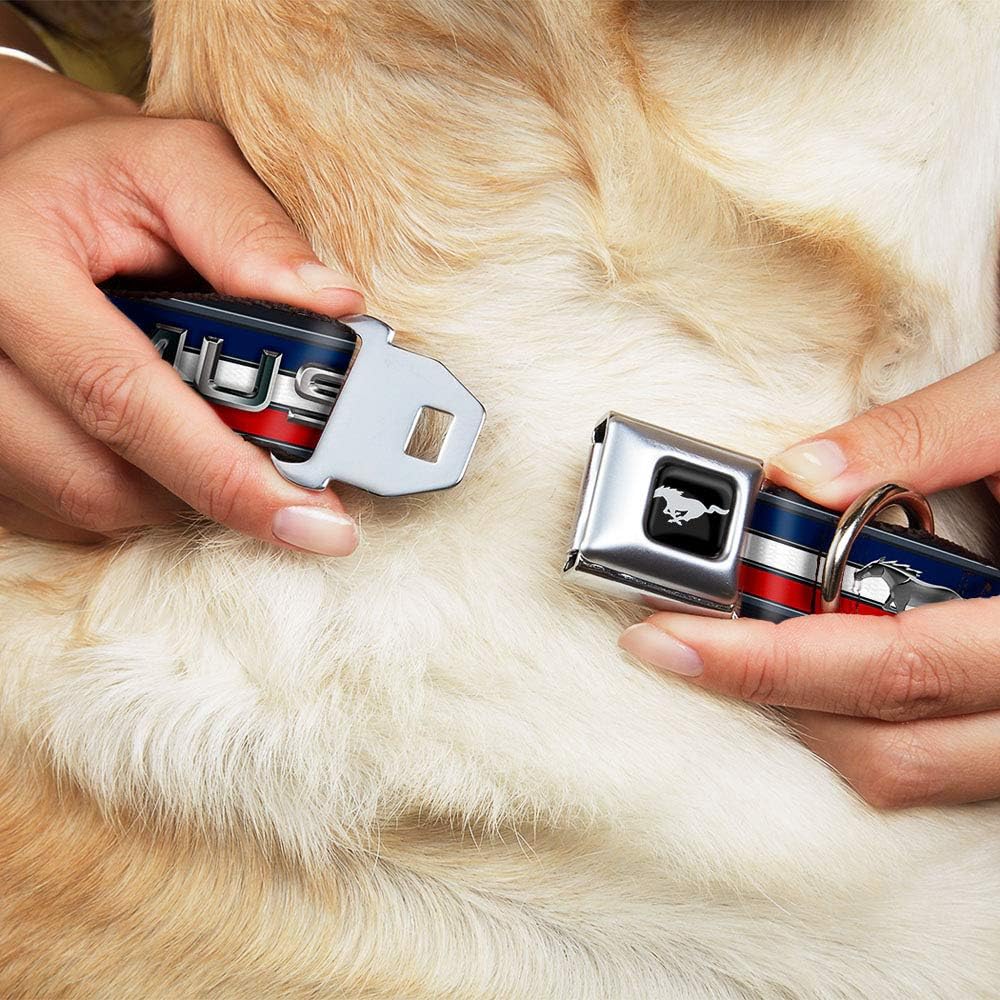 Buckle-Down Dog Collar Seatbelt Buckle Mustang Text Tri Bar Stripe 9 to 15 Inches 1.0 Inch Wide