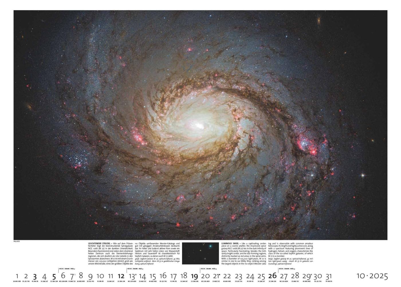 PALAZZI - Sternzeit 2025 Wandkalender, 70x50cm, Posterkalender mit brillanten Aufnahmen aus unserem Universum, eine astronomische Reise in Zeit und ... Eine astronomische Reise in Zeit und Raum