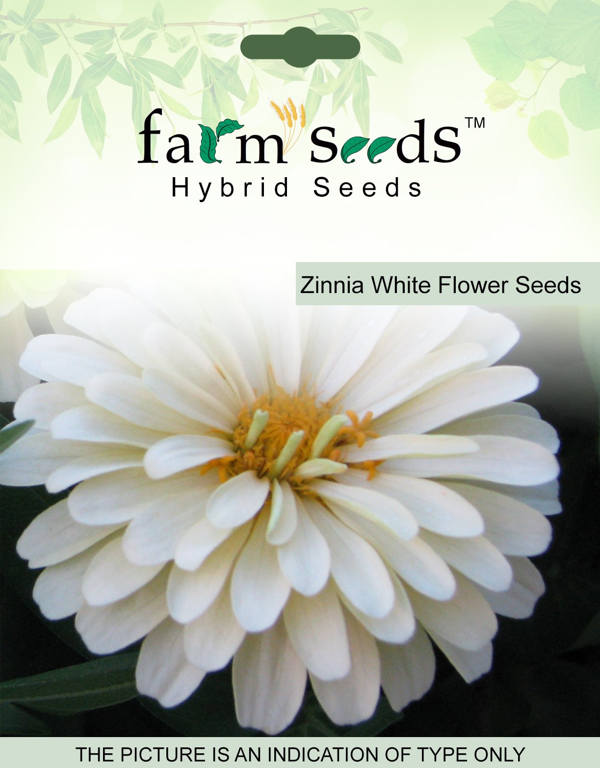 Farm SeedsZinnia White Flower 1 Packet Seeds Seed (100 per packet)