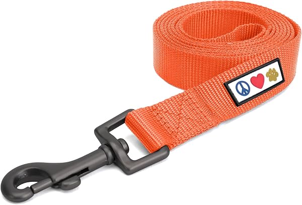 Pawtitas Solid Orange Dog Leash and Cat 1.8 Meters for 2X- Small Breeds Laisse Dog Pour Chien ou Chat - 1