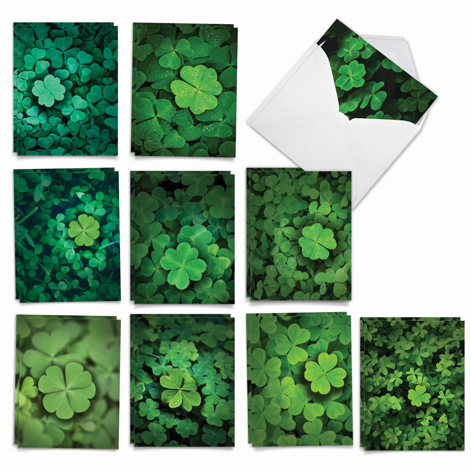 The Best Card Company Lucky Clovers - 20 Assorted Boxed St. Patrick's Day Note Cards with Envelopes (4 x 5.12 Inch) - AM9079SPG-B2x10