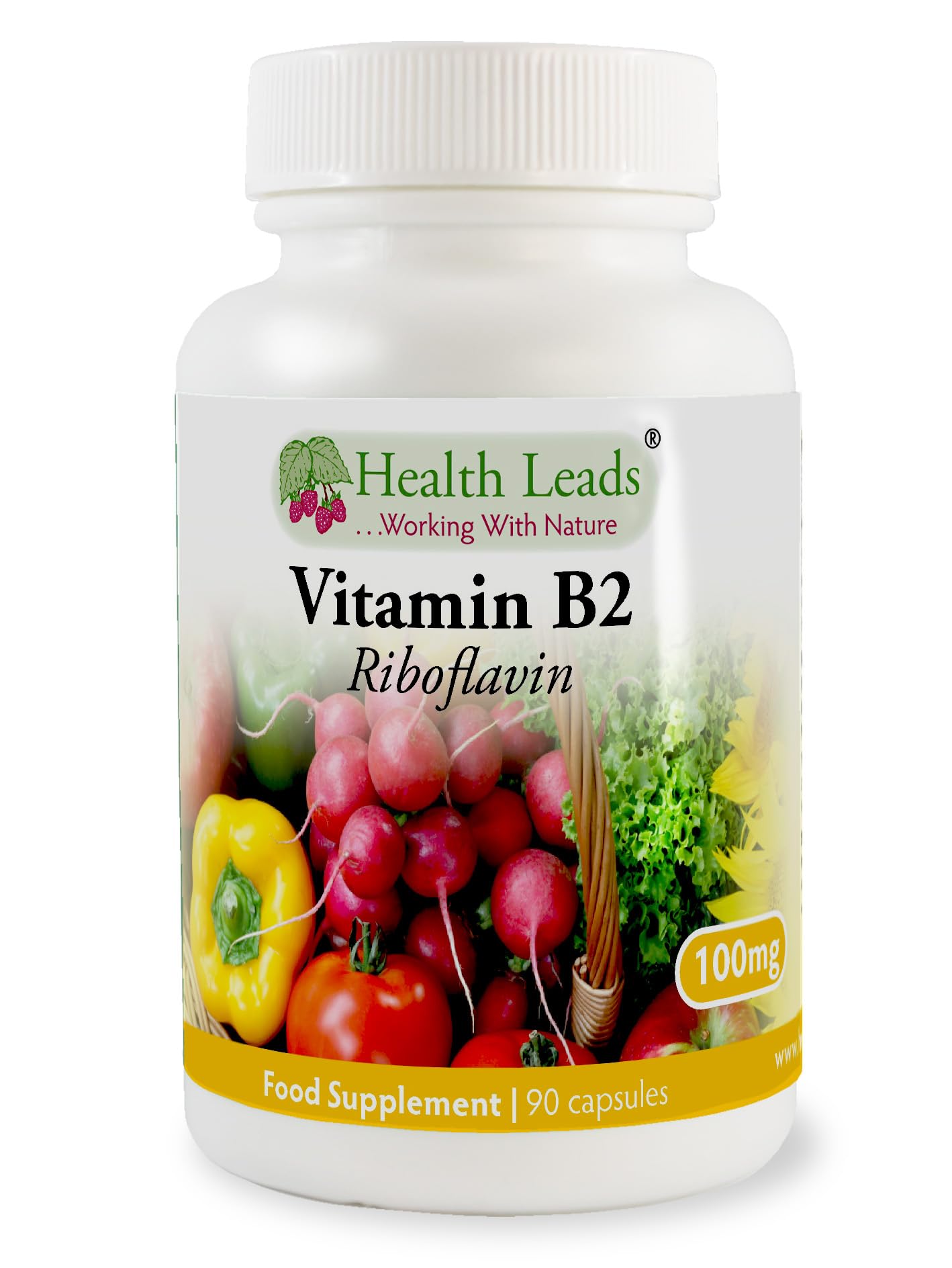 Vitamin B2 100mg x 90 Capsules, Magnesium Stearate Free & No Nasty Additives, No-GMO, Vegan, Riboflavin Helps with Tiredness and Fatigue, Supports Energy Levels, Made in Wales