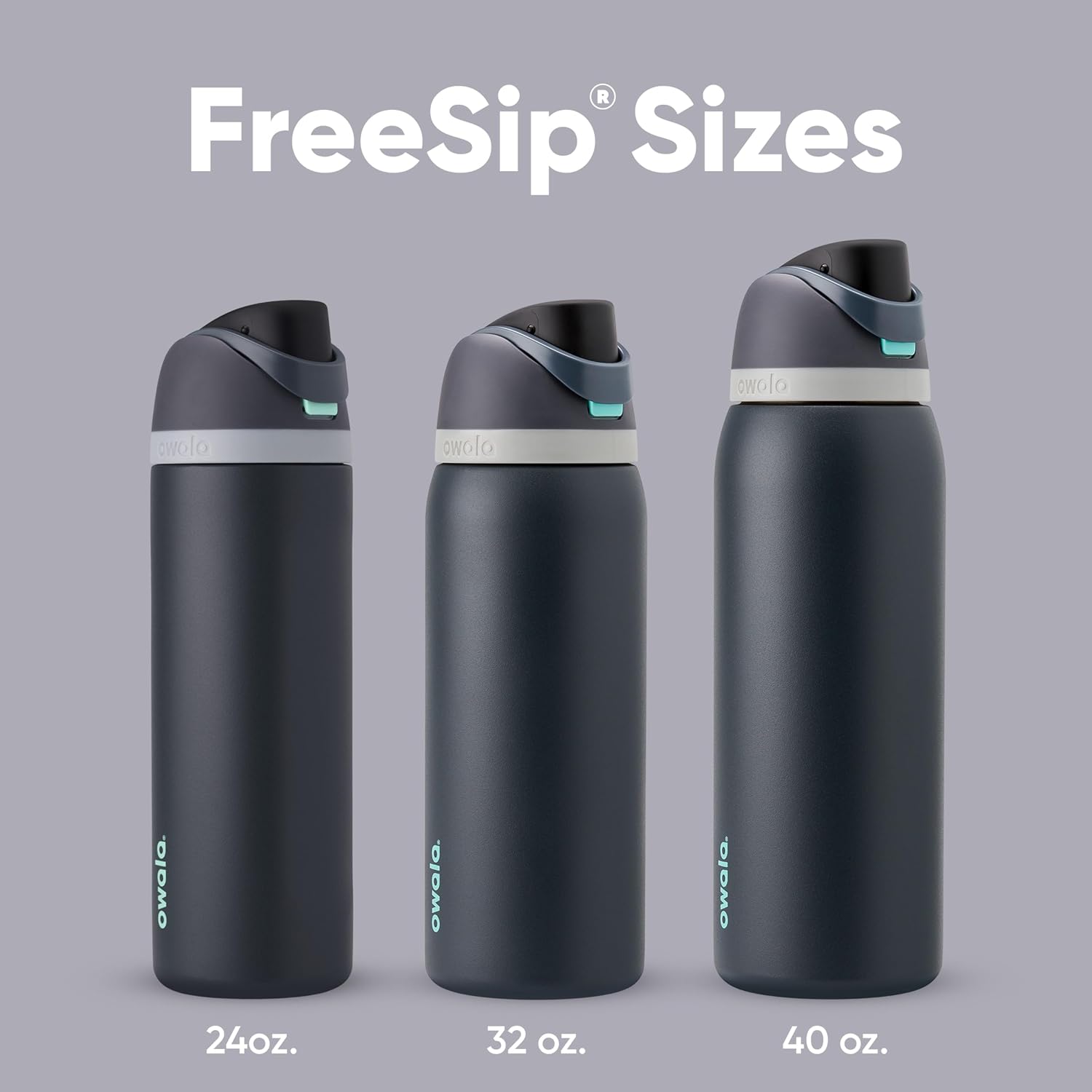 Owala FreeSip Insulated Stainless Steel Water Bottle with Straw for Sports and Travel, BPA-Free, 40oz, Foggy Tide thumbnail