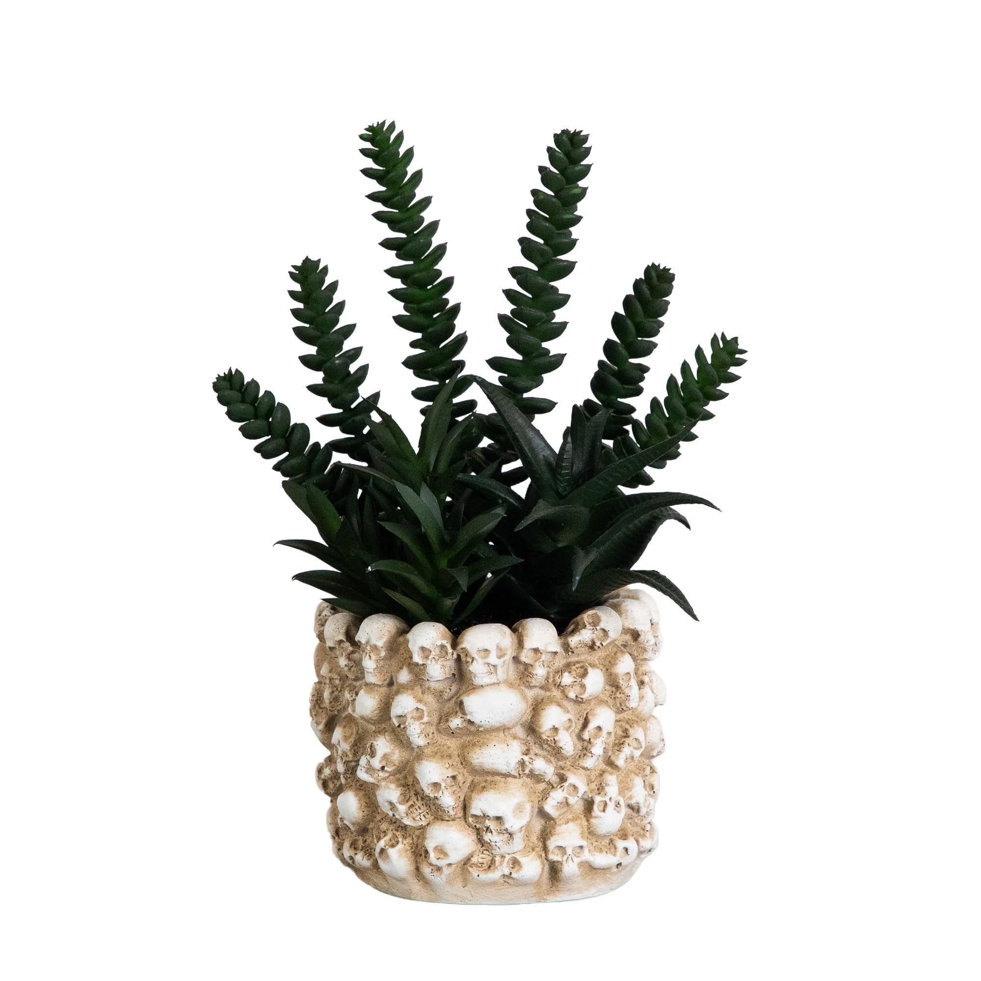 Nearly Natural 9in. Artificial Halloween Succulent in Skull Planter