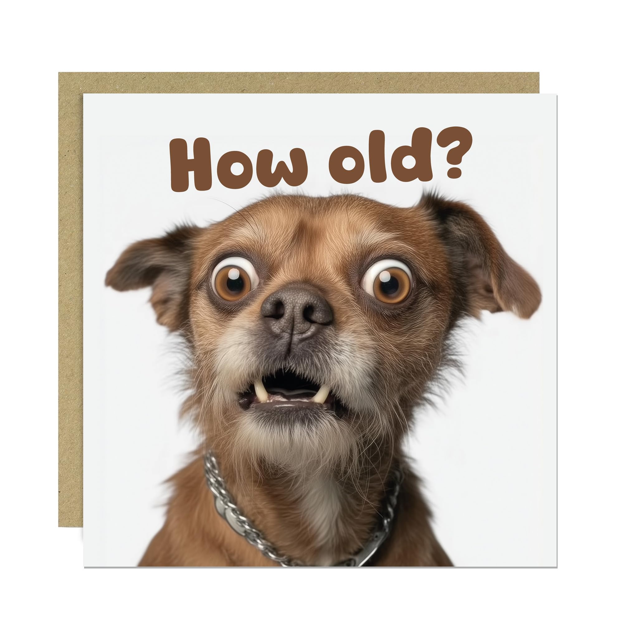 RED OCEAN Funny Dog Birthday Card How Old Hilarious Card For Friends Family Birthday Card For Him Her With Kraft Envelope