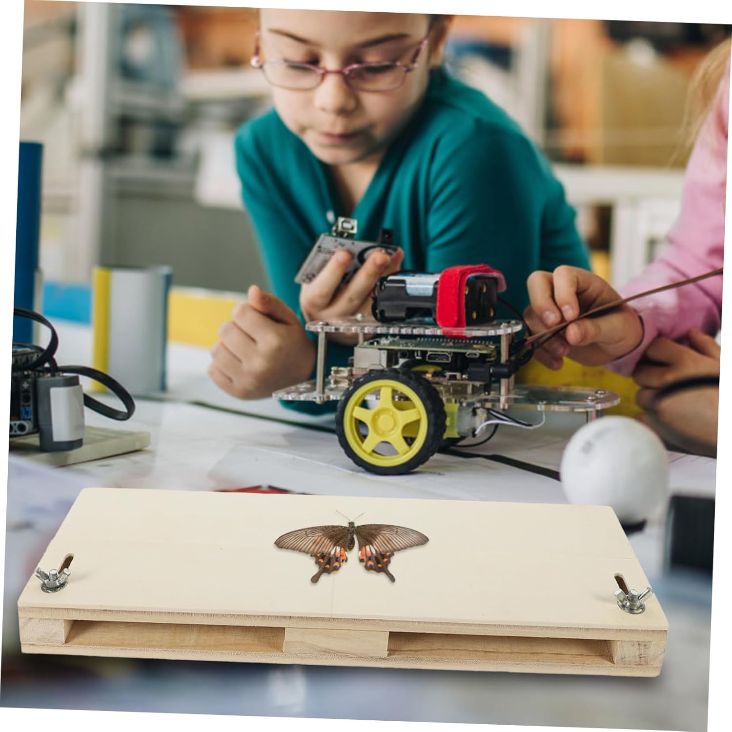 ULTECHNOVO Butterfly Mounting Spreading Board Insect Pinning Board for Butterfly Wings Spreading Tool Wall Decorative
