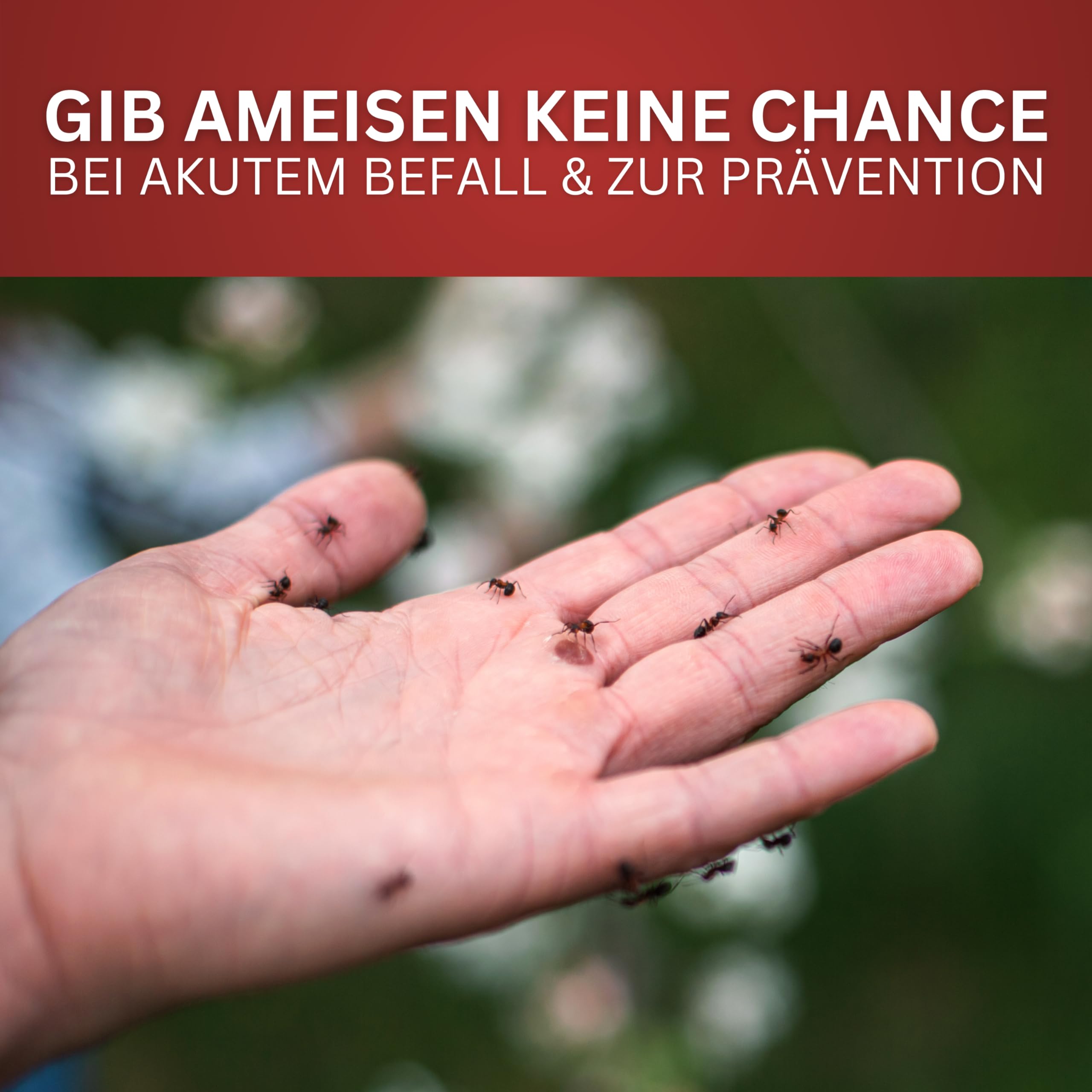 BIODELTA Ameisenspray Set 6 l - Ameisenmittel für draußen und drinnen