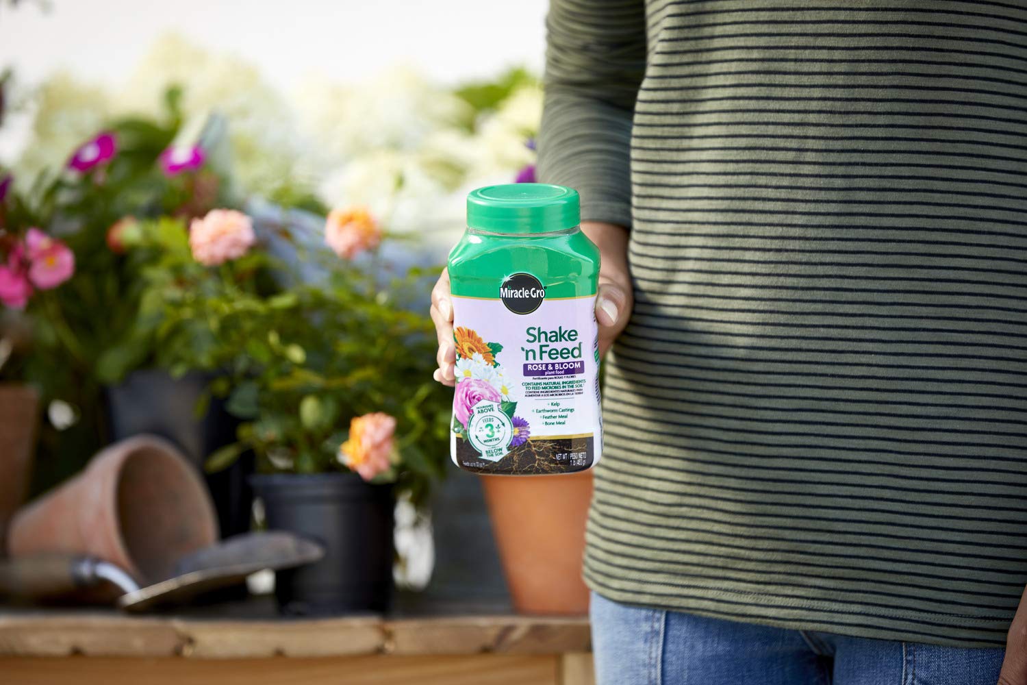 MiracleGro Shake 'n Feed Rose and Bloom Plant Food Promotes More