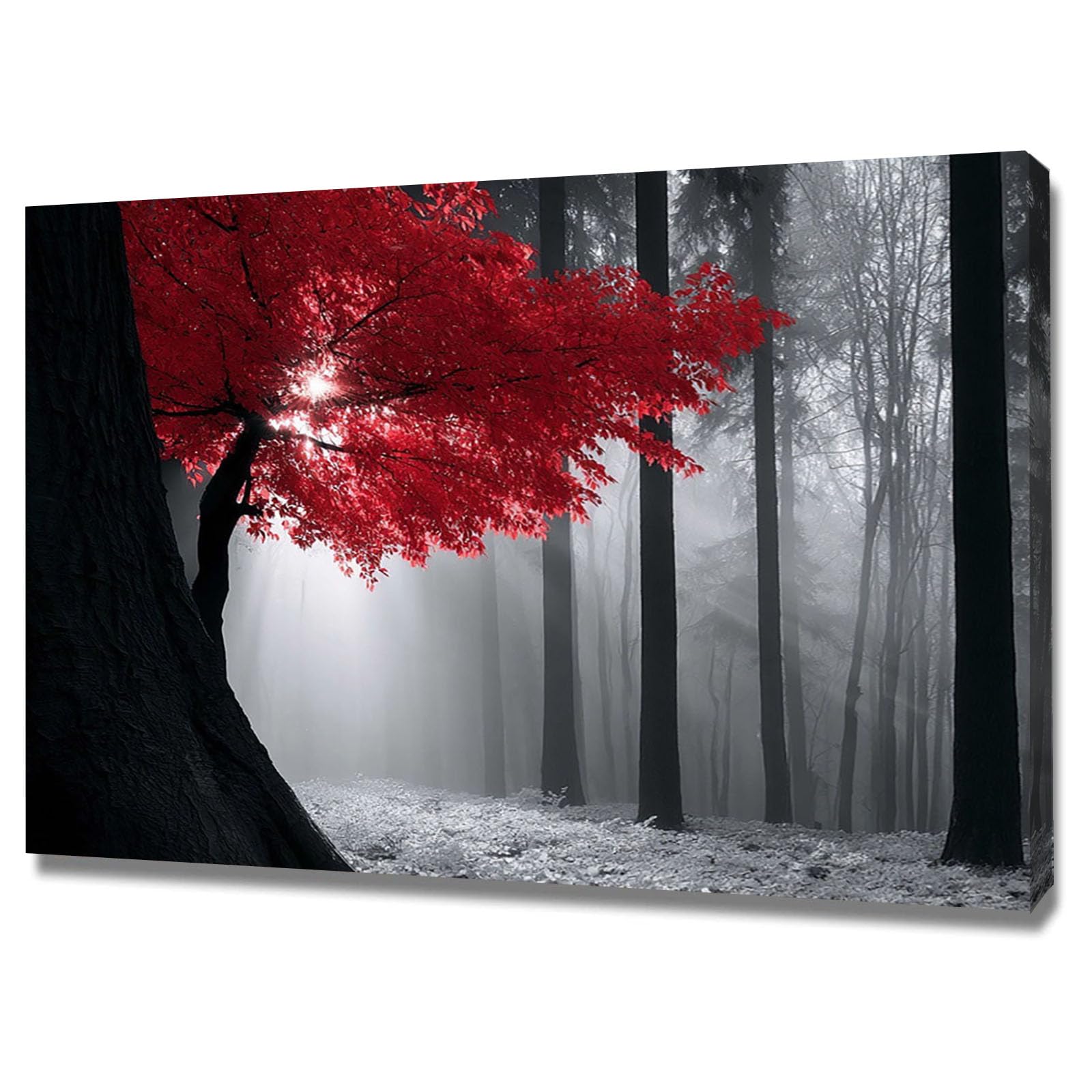 AMXBZC Cuadros Decoracion Salon Modernos Paisaje de árboles de niebla montañosa Nórdico Minimalistas Plantas cuadros, Comedor Oficina Pasillo Cocina Y Baño póster（Rojo-50x70cm Enmarcado