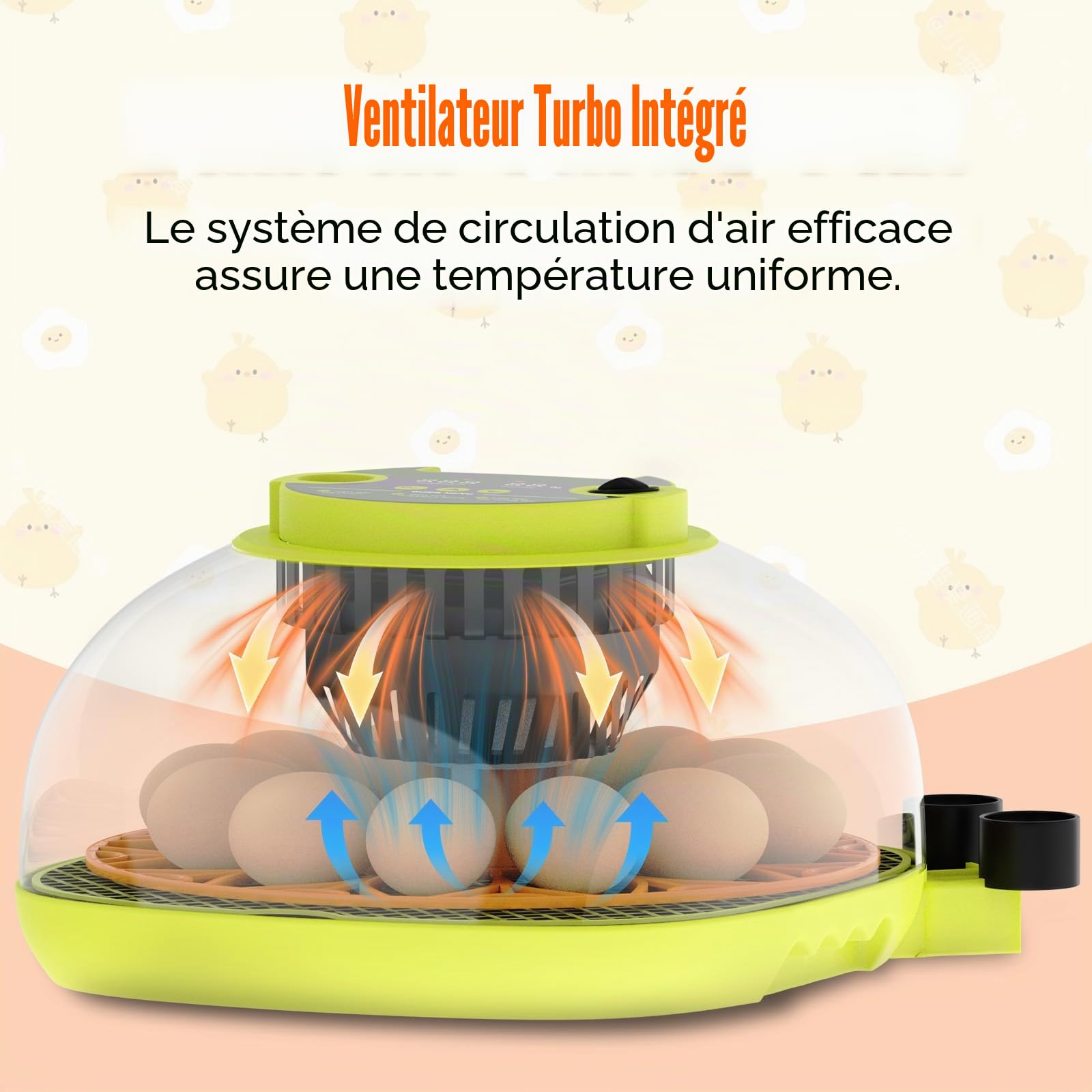 Couveuse Oeuf Automatique 12 Œufs, avec Alimentation en Eau, Retourneur Œufs Automatique, Contrôle Température et Humidité, Testeur Œufs, Vision à 360°, pour Poules, Cailles et Canards (B)