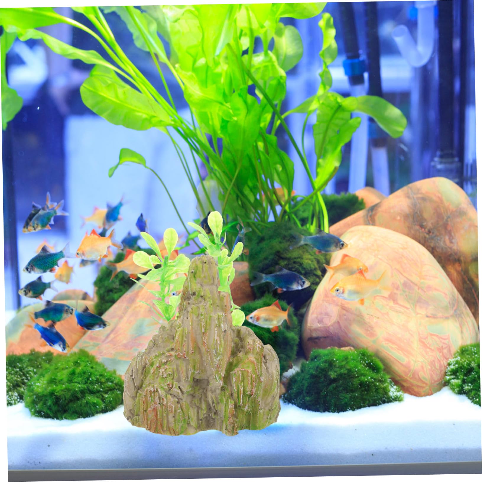 3 Set Decorazioni Rocciose Calcolo Ornamento Del Serbatoio Di Pesce Accessori Per Acquari Acquario Con Supporto Rockery in Resina Per Acquario Grotta Decorazione Acquario 2 Pezzi*3