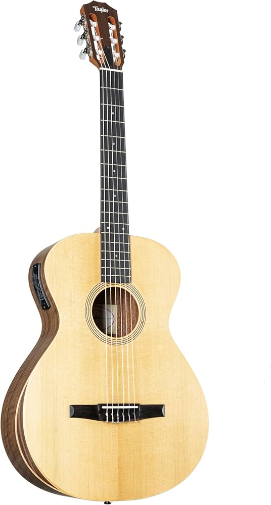ギター Taylor Academy 12e Amazon.com: Taylor Academy 12e-N Nylon-string Acoustic-electric