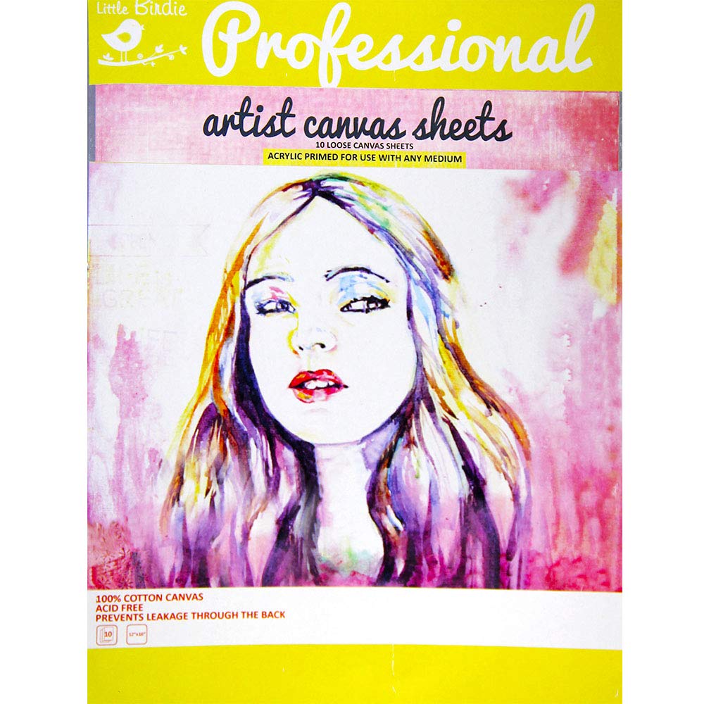Itsy Bitsy Craft Store Canvas Sheets Size 12 X 16inch 10 Sheets