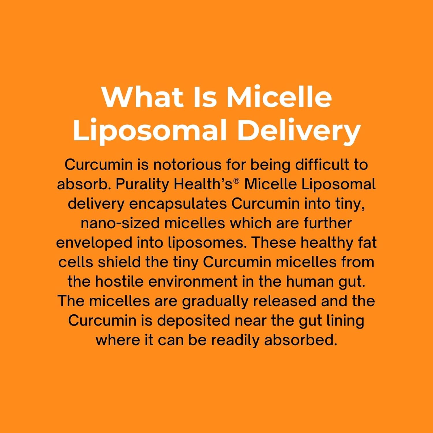 PURALITY HEALTH Curcumin Gold, from Turmeric with Ginger Oil & DHA Omega-3s, Micelle Liposomal Enhanced Absorption, Joint Health, 15 Day Supply