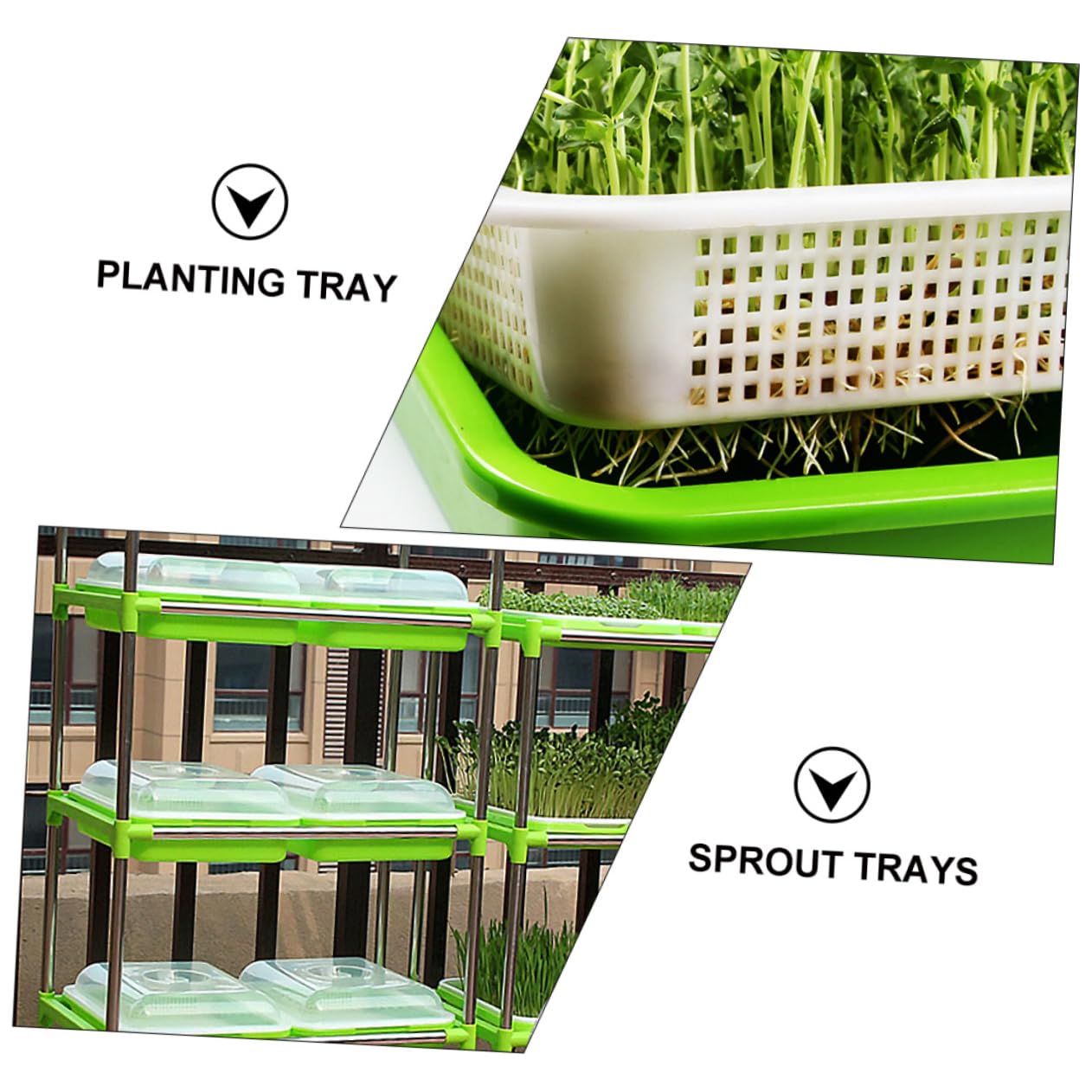 2 Juegos de Bandejas para Germinadores Tapa, Plástico Verde sin Tierra, Cultivo Rápido de Brotes Saludables en Casa Estilo Aleatorio