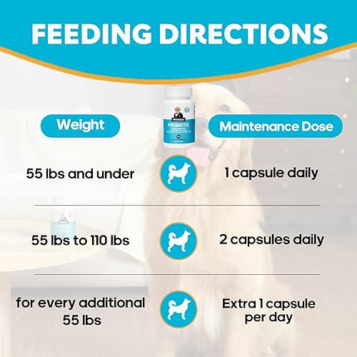 Miniatura 5 de Probióticos para perros, probióticos para perros con enzimas digestivas y prebióticos para apoyar la salud intestinal y la digestión, apoyo