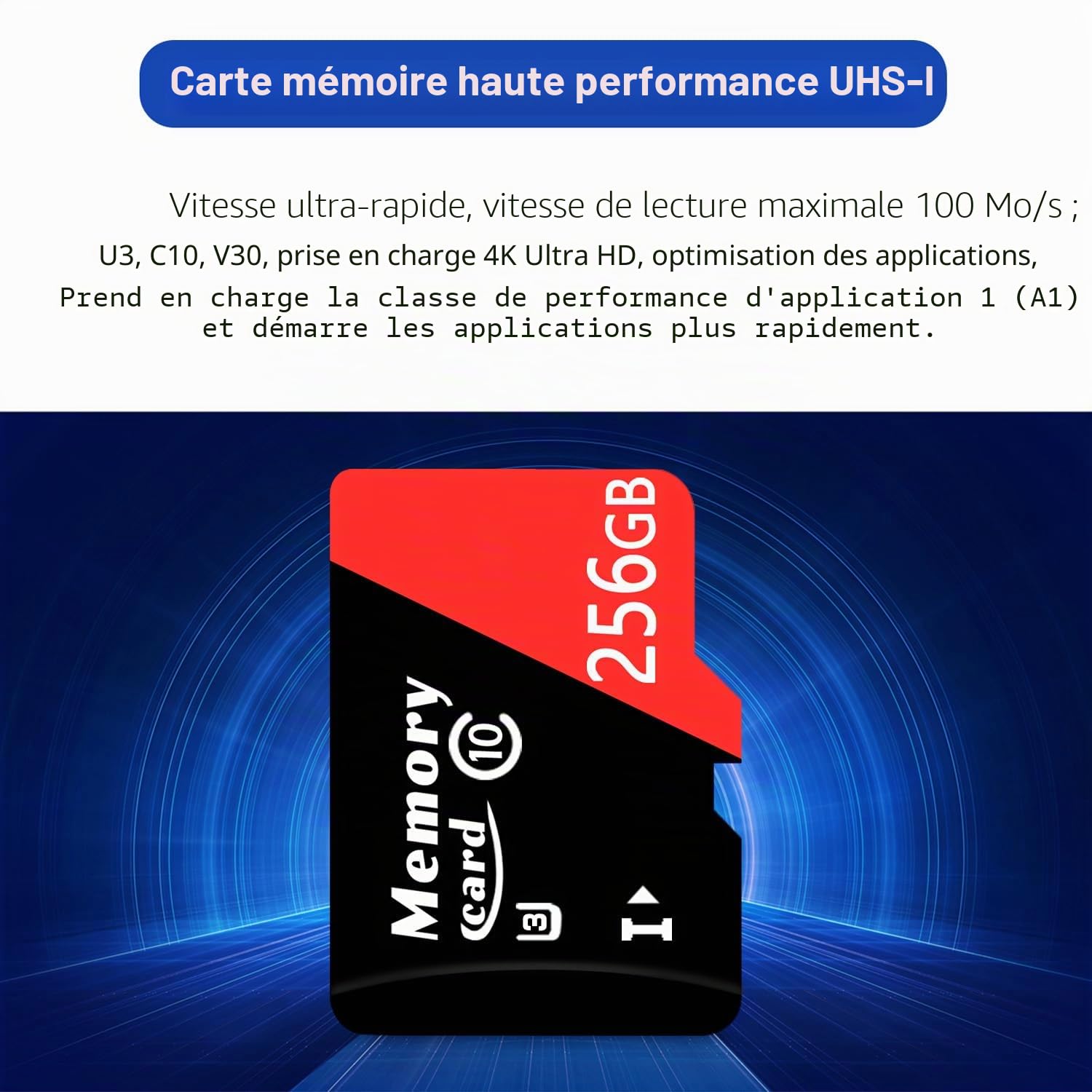 Carte Micro 256Go + Adaptateur TF, Classe 10, Vitesse jusqu'à 100 Mo/s, Compatible 4K UHD, UHS-I, U3, V30-ZD256Go