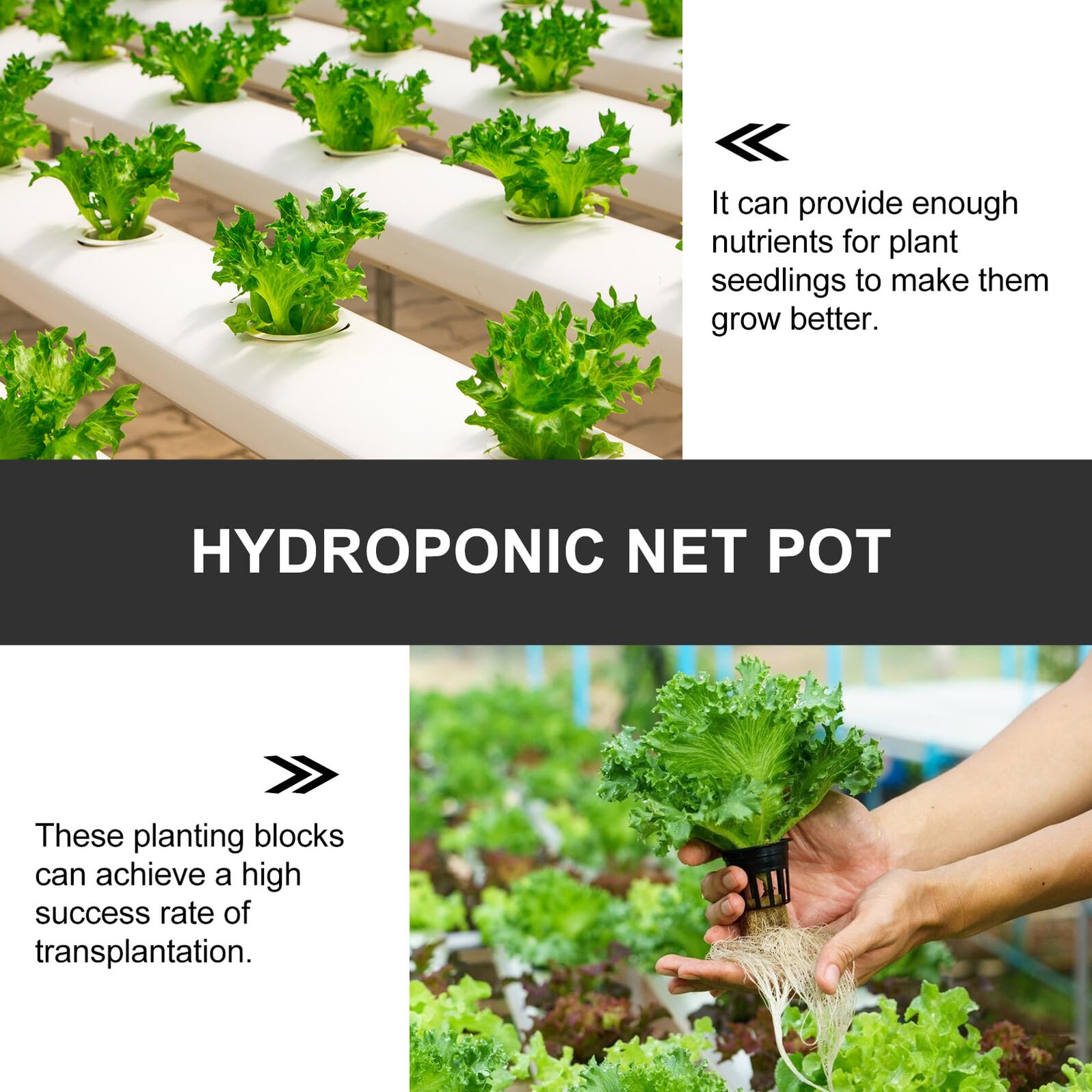 SUPVOX 100 pièces Lot de Paniers de Culture Hydroponique PP Durables Godets Semis Pratiques pour Légumes Fruits et Fleurs Structure Aérée pour Racines Solides et Résistants