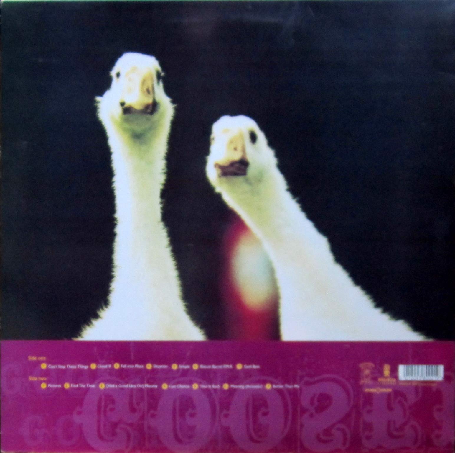 Goose Fair