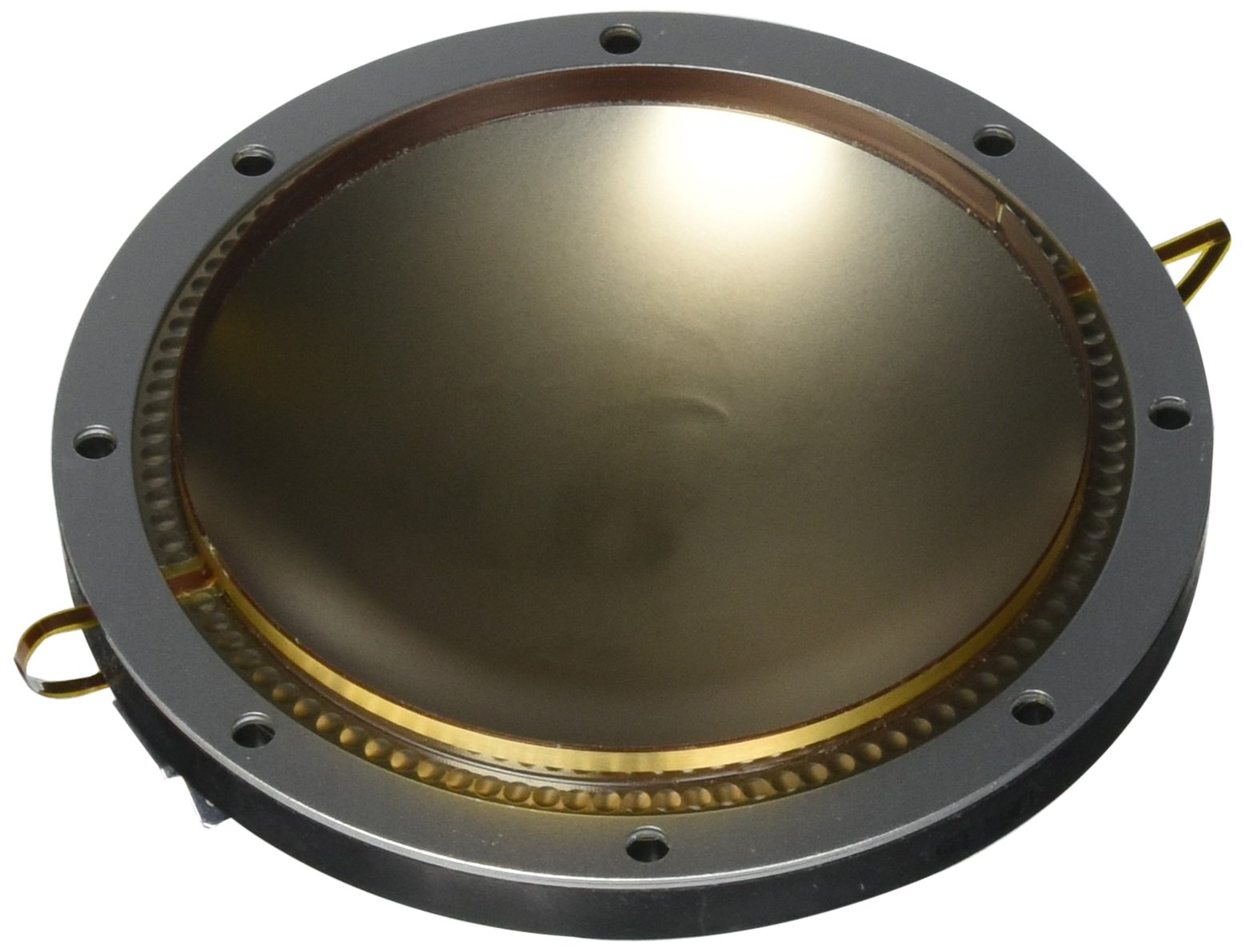 Amazon.com: Peavey 44XT : Musical Instruments