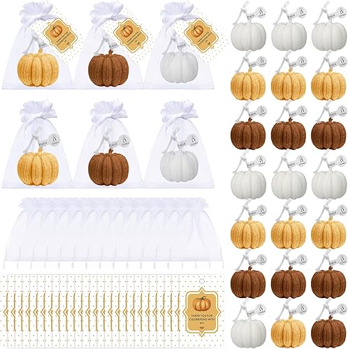 Treela Juego de 24 velas de calabaza para otoño, baby shower, regalos de fiesta para invitados con forma de calabaza para Acción de Gracias, otoño,