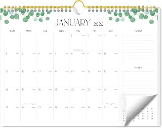 Aesthetic Wall Calendar 2026-2027, 18 Month Horizontal Hanging Calendar with Julian and Holiday Dates from January 2026 to June 2027, 14.5" x 11.5" Minimalist Modern & Simple Paper Wall Calendar for School, Home, Office