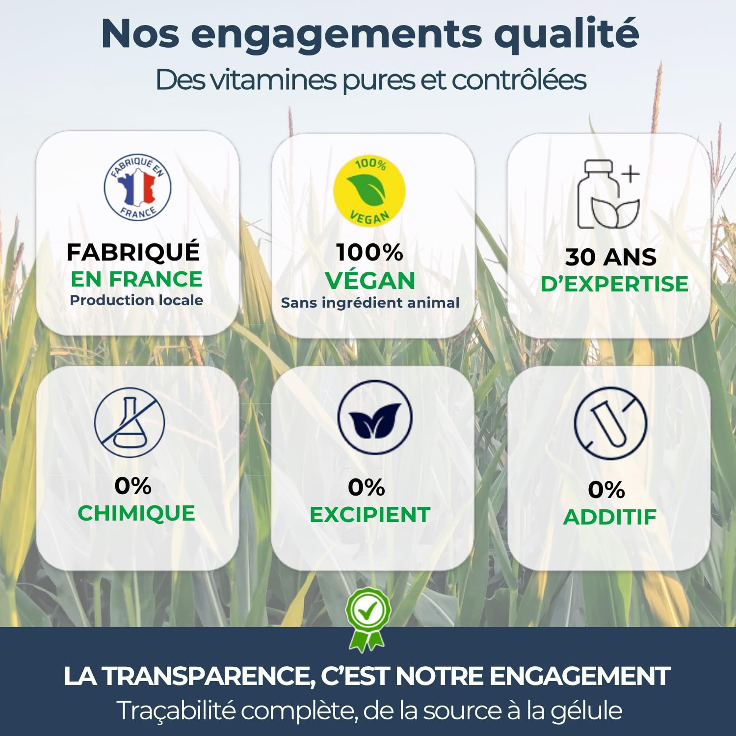 Biophénix - Multivitamines Bio 90 Gélules - Procédé Exclusif Extraction Intégrale® - 0% Excipient • 0% Additif • 0% Produit Chimique - Immunité, Énergie, Antioxydant - Fabriqué en France - Vegan