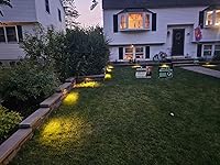 Review Image by peter vasconcelos peter vasconcelos