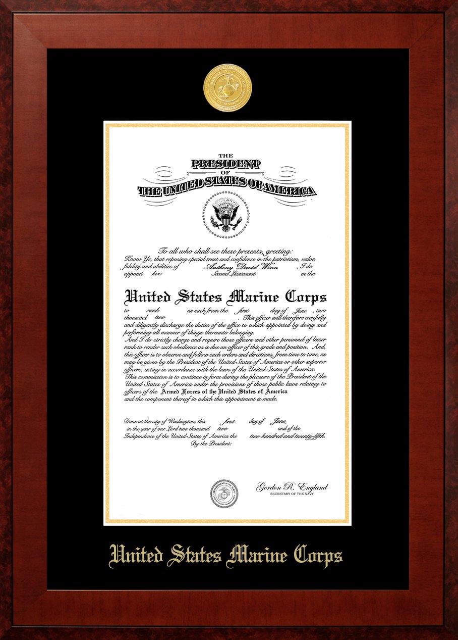 Campus Images MACHO0018.5x11 Marine Certificate Honors Frame with Gold Medallion, 8.5
