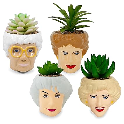 Toynk The Golden Girls Face Mini Ceramic Planter with Faux Succulent | Set of 4