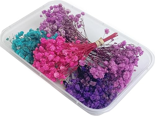 L'BREVOGA Flores secas para manualidades, 5 mini ramos de aliento preservado del bebé en rosaazulpúrpuramorado claro, flores 100% naturales para