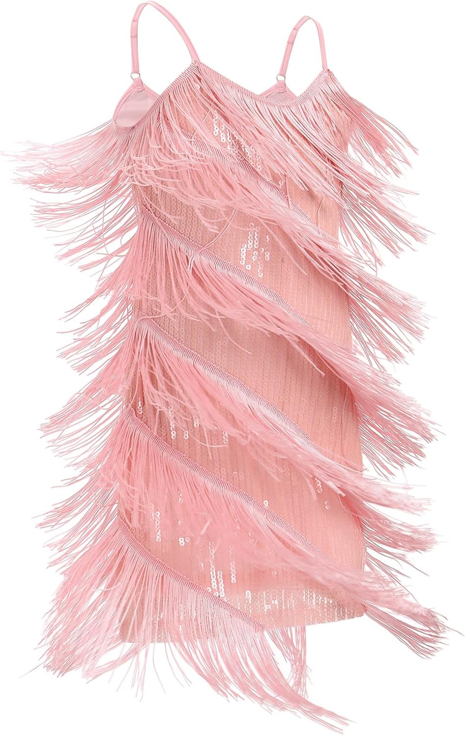 IDOPIP Kids Girls 1920s Flapper Dress Tassels Sequins Fringe Latin Dance Dress Gatsby Halloween Party Ballroom Dance Costumes