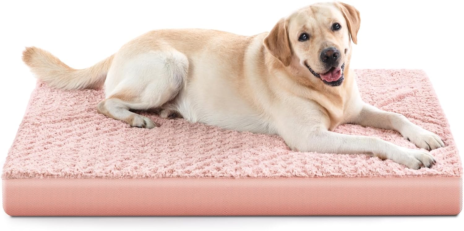 JOEJOY Orthopedic Dog Bed for Extra Large Medium Dogs, Big EggCrate Foam Dog Bed