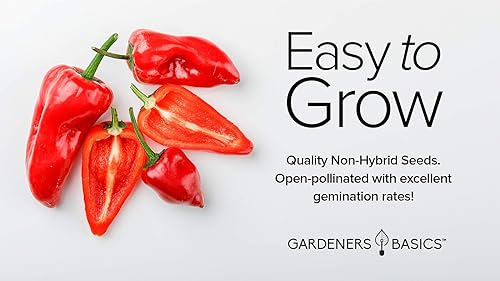 Miniatura 4 de Semillas de pimiento serrano para plantar pimientos anchos sin OMG, semillas de plantas para verduras de jardín en el hogar, son un gran regalo para