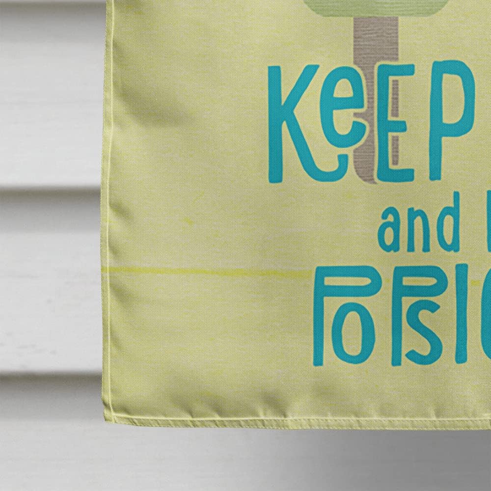 Caroline's Treasures SB3108CHF Keep Calm and eat Popsicles House Flag Large Porch Sleeve Pole Decorative Outside Yard Banner Artwork Wall Hanging, Polyester, House Size, Multicolor